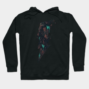 dark matter 2 Hoodie